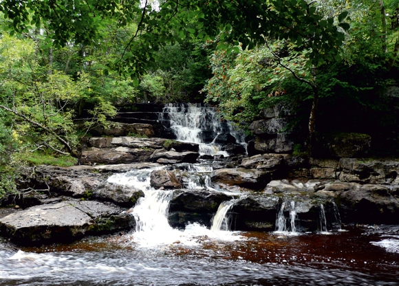 East Gill Lower Force, Keld